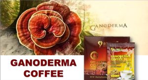 Ganoderma Coffee