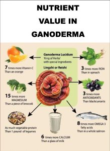 Xiangzhiling nutritional value
